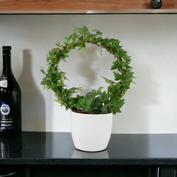 Hedera Ivy Hoop Air Purifying Houseplant In 12cm Pot, 7 of 7