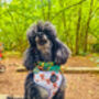 Rusty Bear Dog Harness, thumbnail 3 of 11