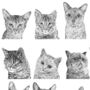 Cat Collection Print, thumbnail 3 of 4