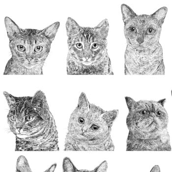 Cat Collection Print, 3 of 4