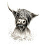 Highland Cow Illustration Print, thumbnail 2 of 2
