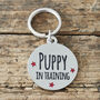 'Puppy In Training' Dog ID Tag, thumbnail 1 of 2