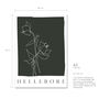 Botanical Hellebore Print, thumbnail 3 of 4