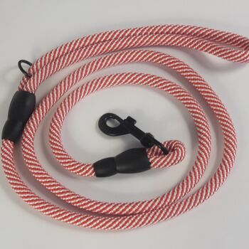 Red And White Stripped Rope Dog Lead, 4 of 12
