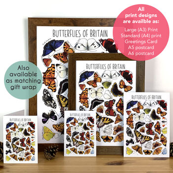 Butterflies Of Britain Wildlife Watercolour Print, 3 of 7