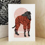 Greyhound / Whippet Art Print A4, thumbnail 1 of 5