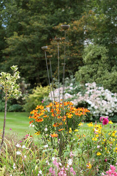 Stylish Cluster Of Five Steel Balls/Cups For Garden Large, 3 of 4