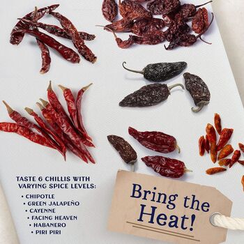 Chilli Sauce Making Kit Make Seven Different Types, 7 of 8