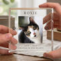 Personalised Pet Memorial Photo Crystal Token, thumbnail 2 of 8