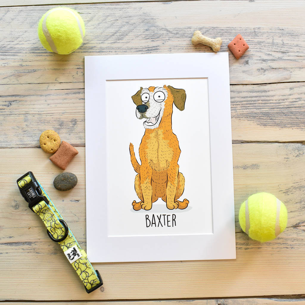 Cartoon Pet Portrait By Giddings Gifts 