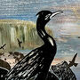 'Isay Cormorant' Fine Art Giclee Print, thumbnail 2 of 2