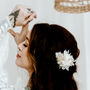 Margo White Rose Wedding Bridal Hair Clip, thumbnail 3 of 4
