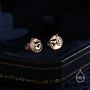 Sterling Silver Rolled Up Armadillo Stud Earrings, thumbnail 5 of 12