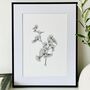 Gingko Biloba Original Botanical Illustration, thumbnail 1 of 5