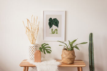 Anthurium Leaf Plant Illustrated A4 Art Print, 5 of 12