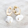 Chunky Gold Plated Irregular Pearl Earrings, thumbnail 4 of 6