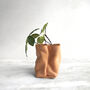 Personalised Mini Leather Paper Bag Planter With Custom Message And Artificial Round Leaf Vine, thumbnail 3 of 7