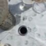 Sage And Stem Outdoor Garden Tablecloth With Parasol Hole, thumbnail 2 of 5