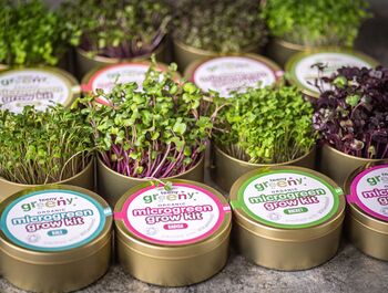 Grow Your Own Microgreens Teeny Greeny Micrology® Kit, 10 of 12