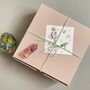 Essential Body And Face Soap Gift Box, thumbnail 6 of 8