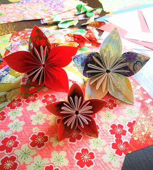 Origami Experience For Two, 4 of 11