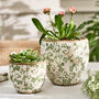 Irina Green Botanical Planter, thumbnail 2 of 8
