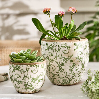 Irina Green Botanical Planter, 2 of 8