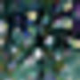 'Midnight Botanica' Botanical Floral Long Silk Scarf, thumbnail 5 of 5