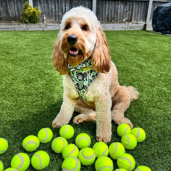 Dog Harness | Tennis | Wimbledon Theme, 7 of 8