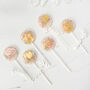 Six Birthday Lollipops In A Gifting Set, thumbnail 4 of 4