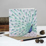 'Tropical' Mixed Pack Of Ten Greeting Cards, thumbnail 2 of 11