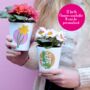 Birth Flower Personalised Plant Pot Birthday Gift, thumbnail 1 of 9