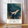 Natural History Ocean Whale Art Print, thumbnail 1 of 4