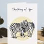 Thinking Of You Zebra Card, thumbnail 1 of 1