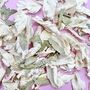 Ivory And Green Leaf Wedding Confetti | Biodegradable, thumbnail 1 of 4