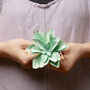 Paper Succulent Making Letterbox Gift Set, thumbnail 11 of 11