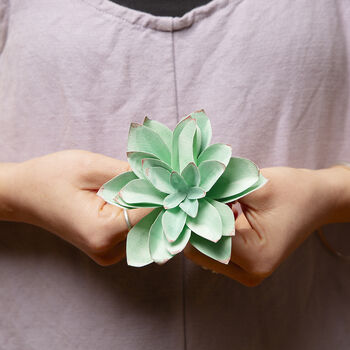 Paper Succulent Making Letterbox Gift Set, 11 of 11