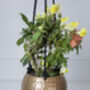 Golden Hanging Planters Set Of Two, thumbnail 7 of 10