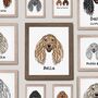 Personalised Afghan Hound / Affie Portrait Print, thumbnail 1 of 8