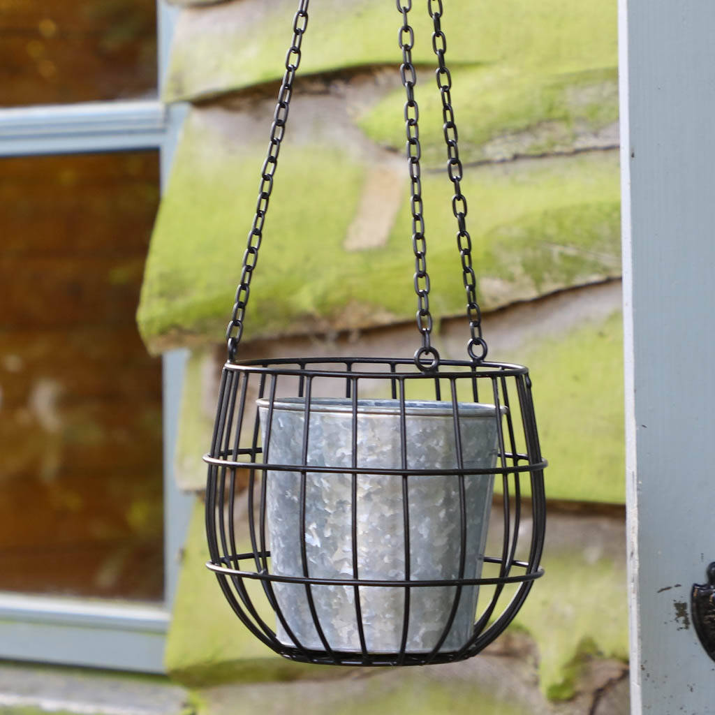 Contemporary Garden Hanging Basket Planter By Dibor