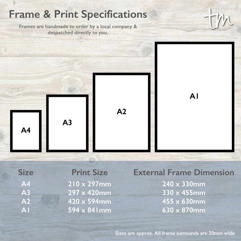 michaels a3 frame