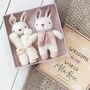 Personalised Welcome To The World Baby Girl Bunny Gift, thumbnail 1 of 12