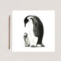 Parent And Chick Penguins Greeting Card, thumbnail 1 of 5