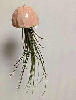 Ceramic Shell Jellyfish Air Plant Gift For Plant Lover, 6 of 12