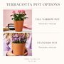 Engraved Terracotta Flower Pot, thumbnail 6 of 6