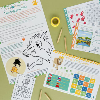 Children's Eco Activity Box: Majestic Lions, 3 of 11