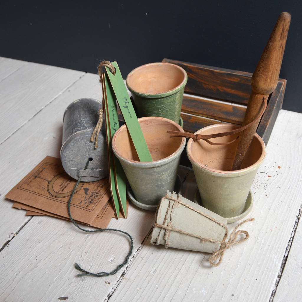 parsley, rosemary, thyme and terracotta planting by &