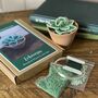 Echeveria Plant Beaded Craft Kit, thumbnail 2 of 4