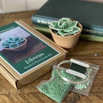 Echeveria Plant Beaded Craft Kit, 2 of 4