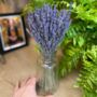 Dried Lavender Bunch And Glass Vase Gift Set, thumbnail 3 of 7